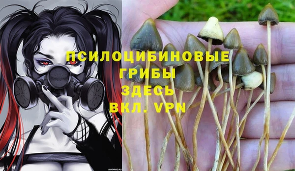 кокс Алексин