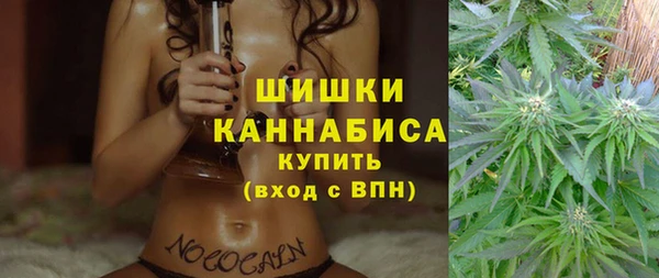 мдпв Рославль