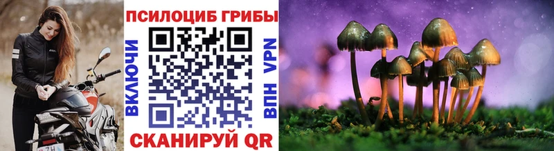 Псилоцибиновые грибы мицелий  даркнет сайт  Борзя 